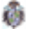 Piedrahita City Council