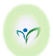 Active Ayurveda and Yoga LLC.
