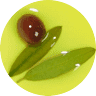 Ayvada Zeytincilik