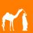 Azalai Travel Design