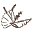 Azienda bio dilorenzo