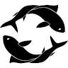 OCEANIC STORE