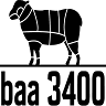 baa 3400