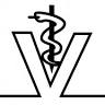 Veterinary Practice for small animals