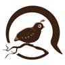 Baby Quail Inn