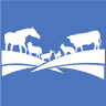 Bach Veterinary Clinic