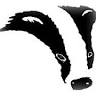 Badger Bathrooms Ltd