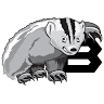 Badger Electrical Management