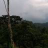 Baeza Tours Birdwatching