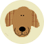 Bag of Bones Barkery