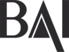 Bay Area Insurance Inc