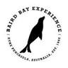 Baird Bay Ocean Eco Experience