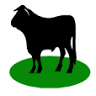 Cigydd Bala Butcher