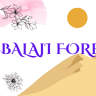 Balaji Forex Tours & Travels