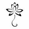 Balance Mind, Body & Spirit Reiki & Wellness Studio
