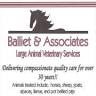 Balliet and Associates