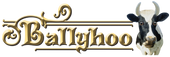 Ballyhoo – Purveyors of Fine Ice Cream