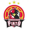 Club Balonmano Pinto