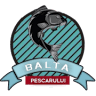 Balta Pescarului Măineasca