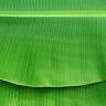 Banana Leaf