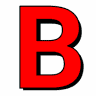 Banes Roofing Inc