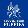 Banksia Park Puppies - Breeding Property
