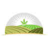 Banner Harvest CBD