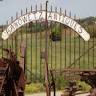 Banowetz Antiques