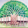 Banyan Montessori Academy - Canton, Michigan