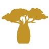Baobab Tree Hotel & Spa