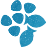 Baptistengemeente Kampen