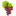 Baravin