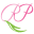 Barbara G Cosmetics