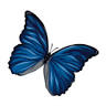 Barbara King Funeral Director Pty Ltd.