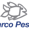 Barco Pesca
