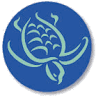 Bargara Blue Resort
