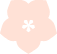 Bari Swimwear Outlet Clavel