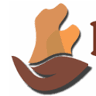 Bark India Charitable Trust