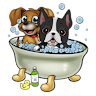 Bark N Bubbles Doggy Day Spa-Hyde Park