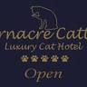 Barnacre Cattery