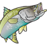 Les Wilson Barramundi Discovery Centre