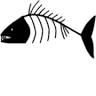 Barracuda Winter Fish Bar