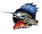 Barra Or Blue Fishing Charters