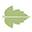 Bartho de Bruyn V.O.F. Kwekerij en Beplanting Handel