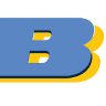 Basel Reisen GmbH & Co. KG