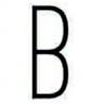 BASHAQUES