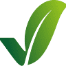 Bash Services