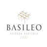 Basileo Vini