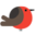 BaskoParadis