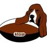 Rugby club the Bassets